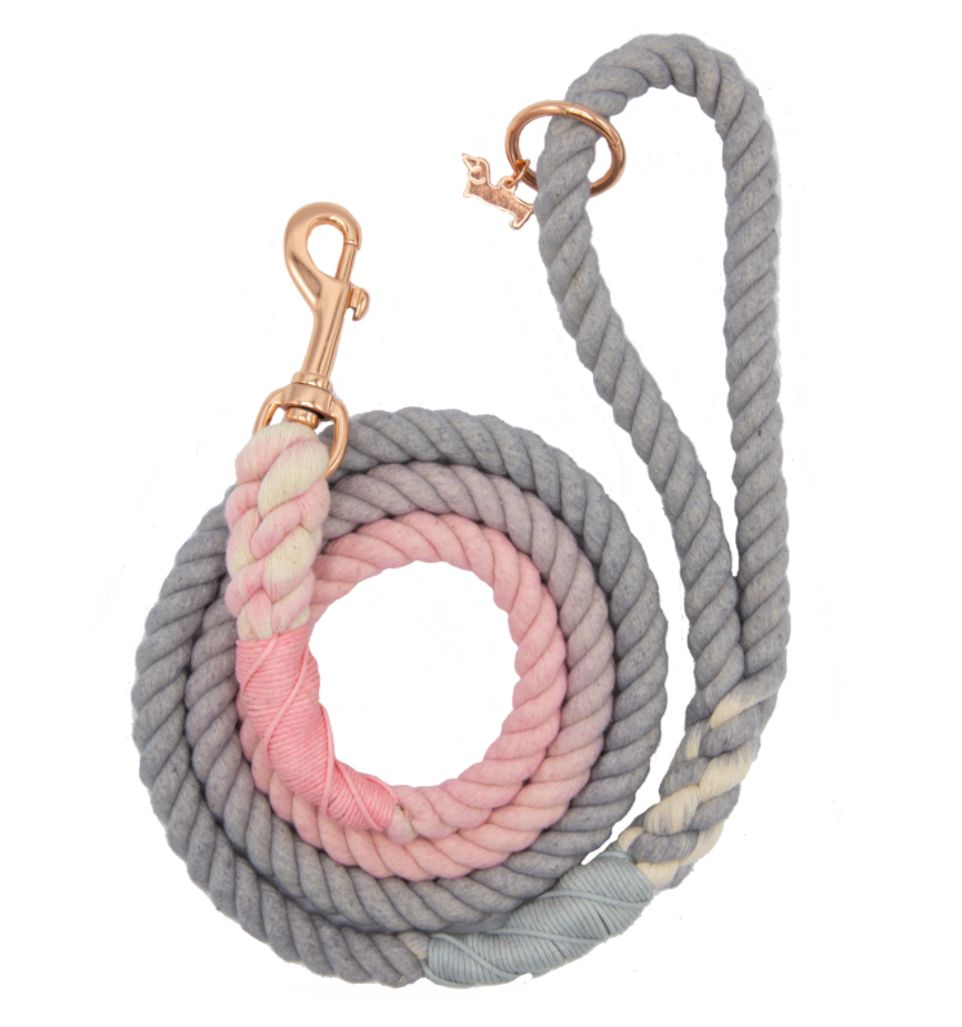 Ombre leash sales