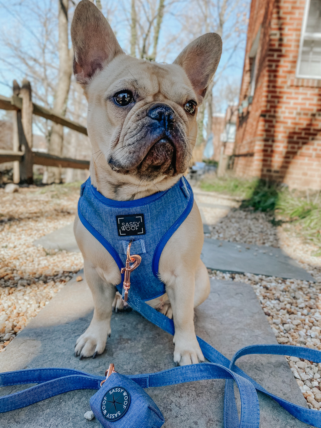 INFLUENCER_CONTENT | @LILLYMOONFRENCHIE |