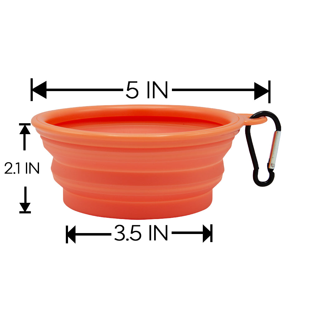 Collapsible Bowl - It's 5 o'clock Somewhere