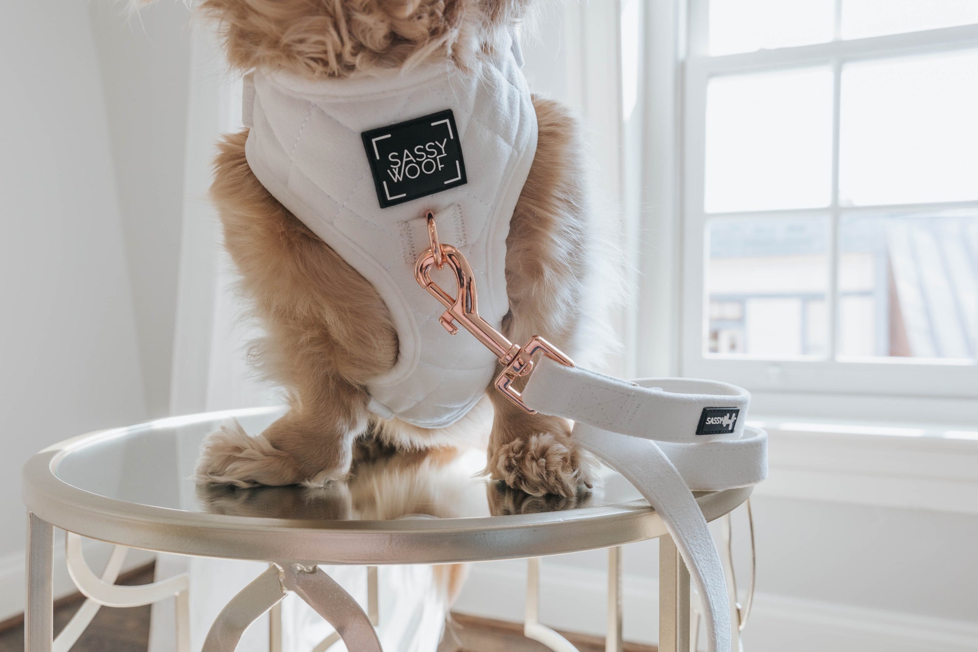 INFLUENCER_CONTENT | @MAYATHEDOX | SIZE XS