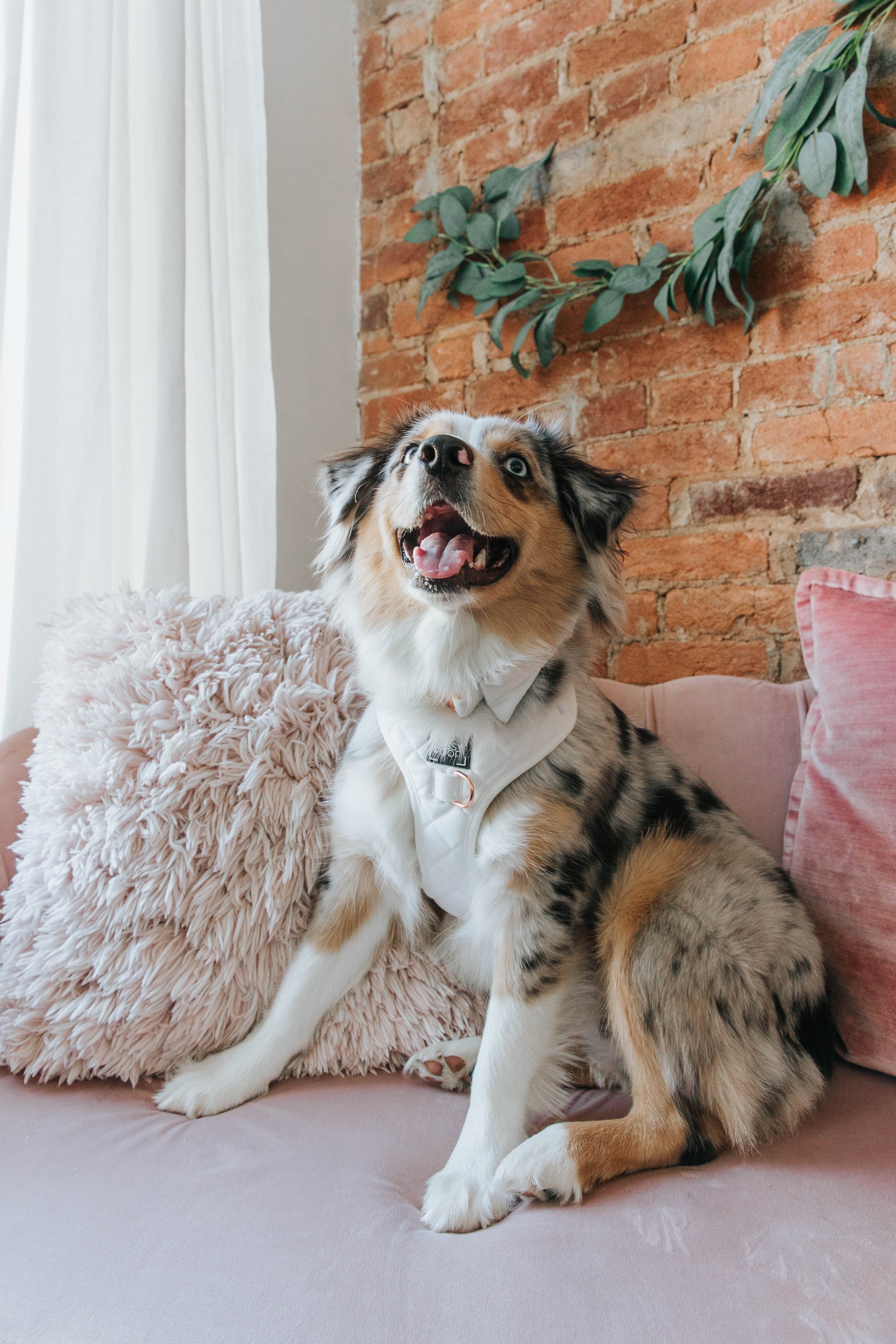 INFLUENCER_CONTENT | @LILYTHEMINIAUSSIE | SIZE M