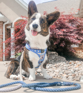 Dog Rope Leash - Ombre Blue