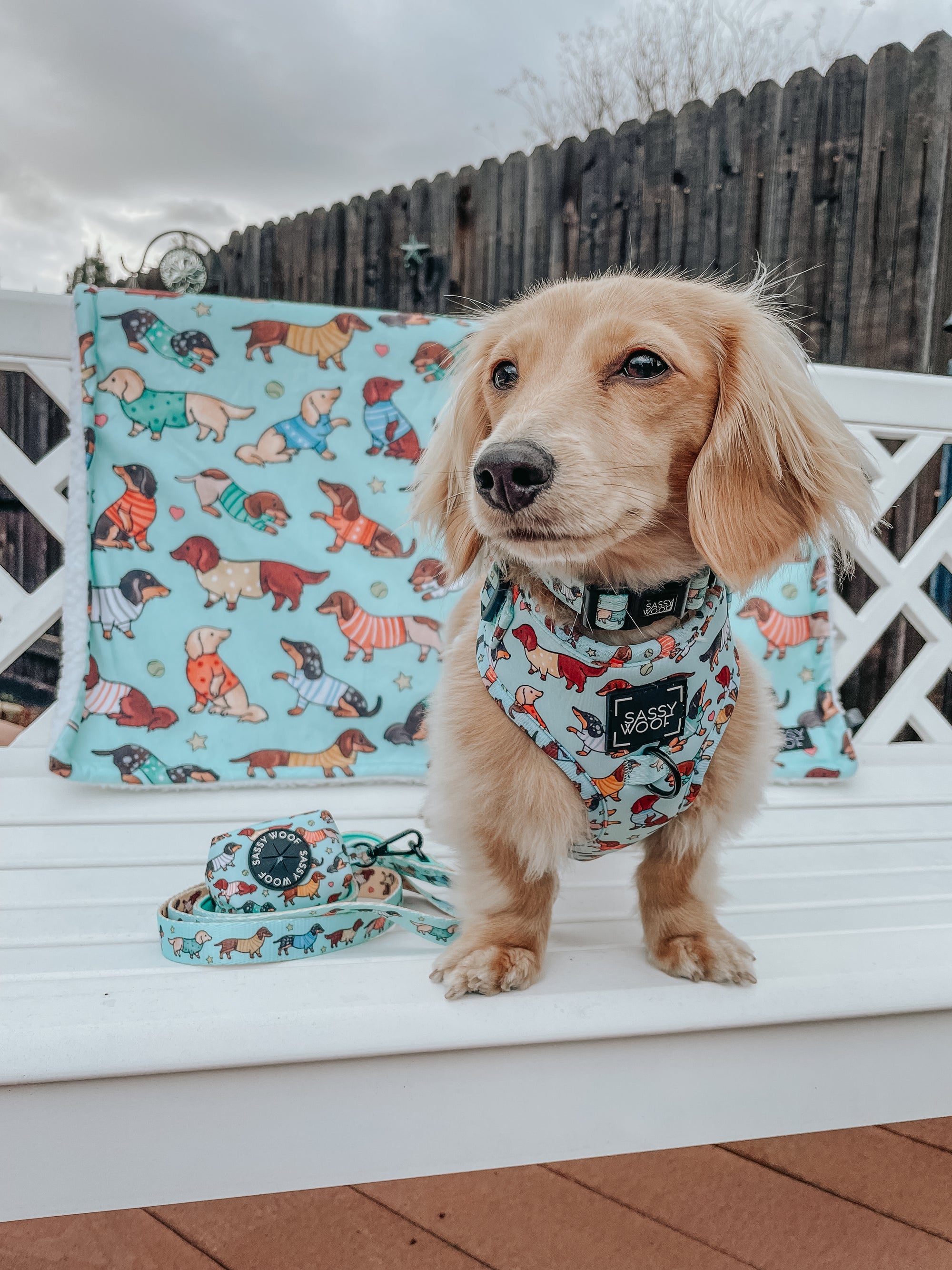 INFLUENCER_CONTENT | @GRACIE_MINIDOXIE | SIZE XS