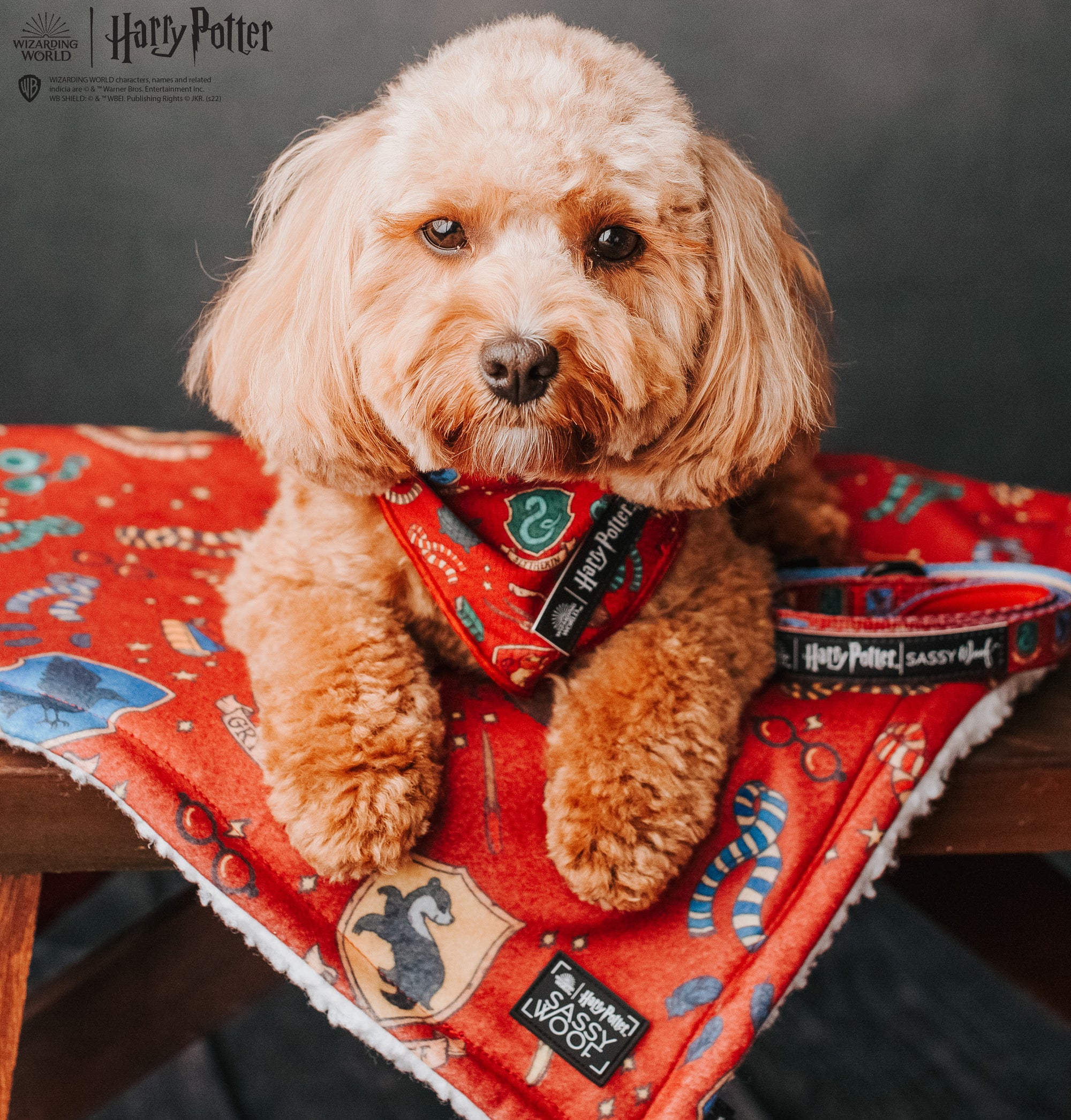 INFLUENCER_CONTENT | @THE.STORY.OF.ROO |
