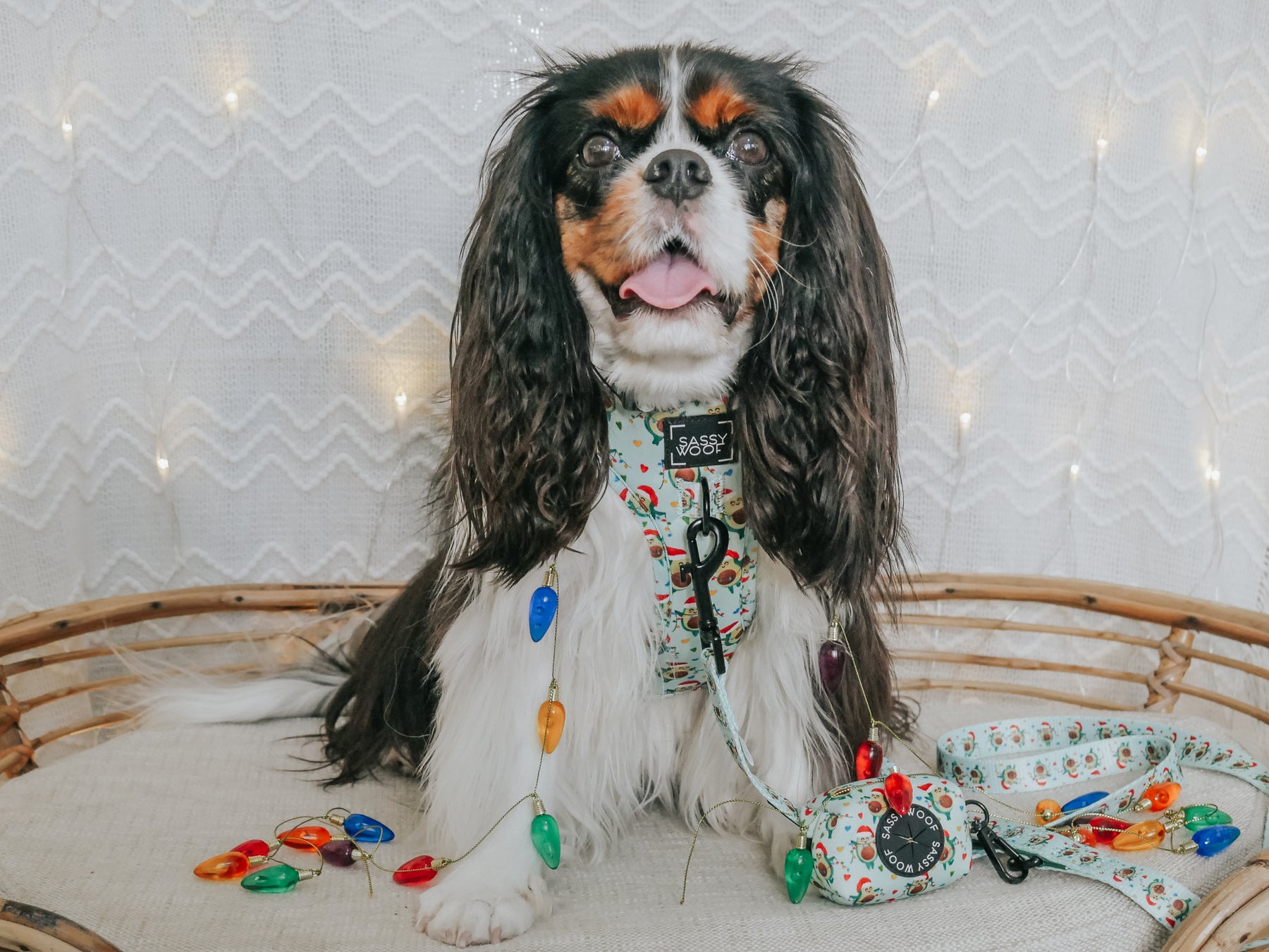 INFLUENCER_CONTENT | @CHARLIE__CHARLOTTE | SIZE S