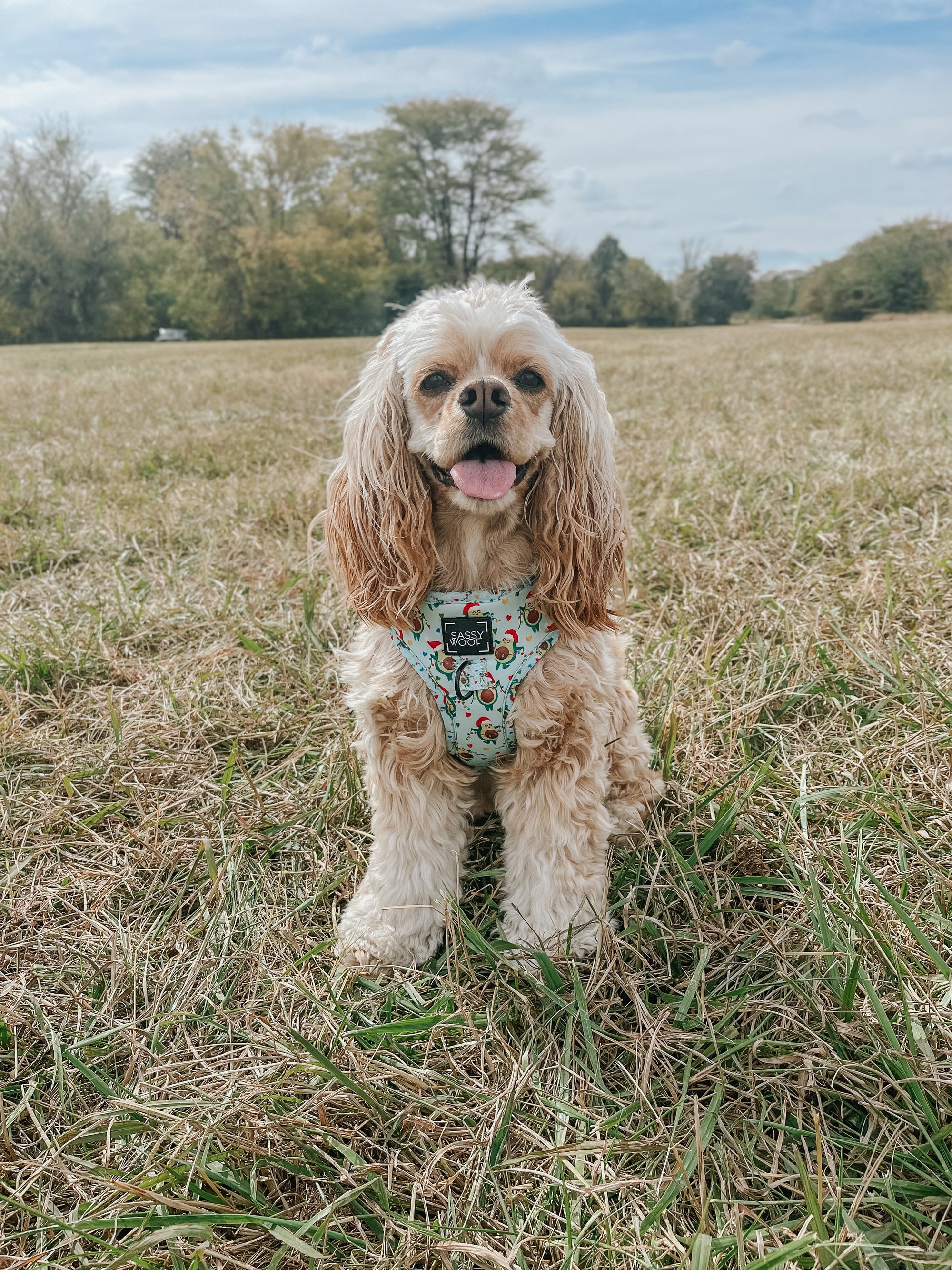 INFLUENCER_CONTENT | @PAISLEY_RAE_THECOCKER | SIZE XXS