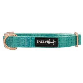 Dog Collar - Wag Your Teal