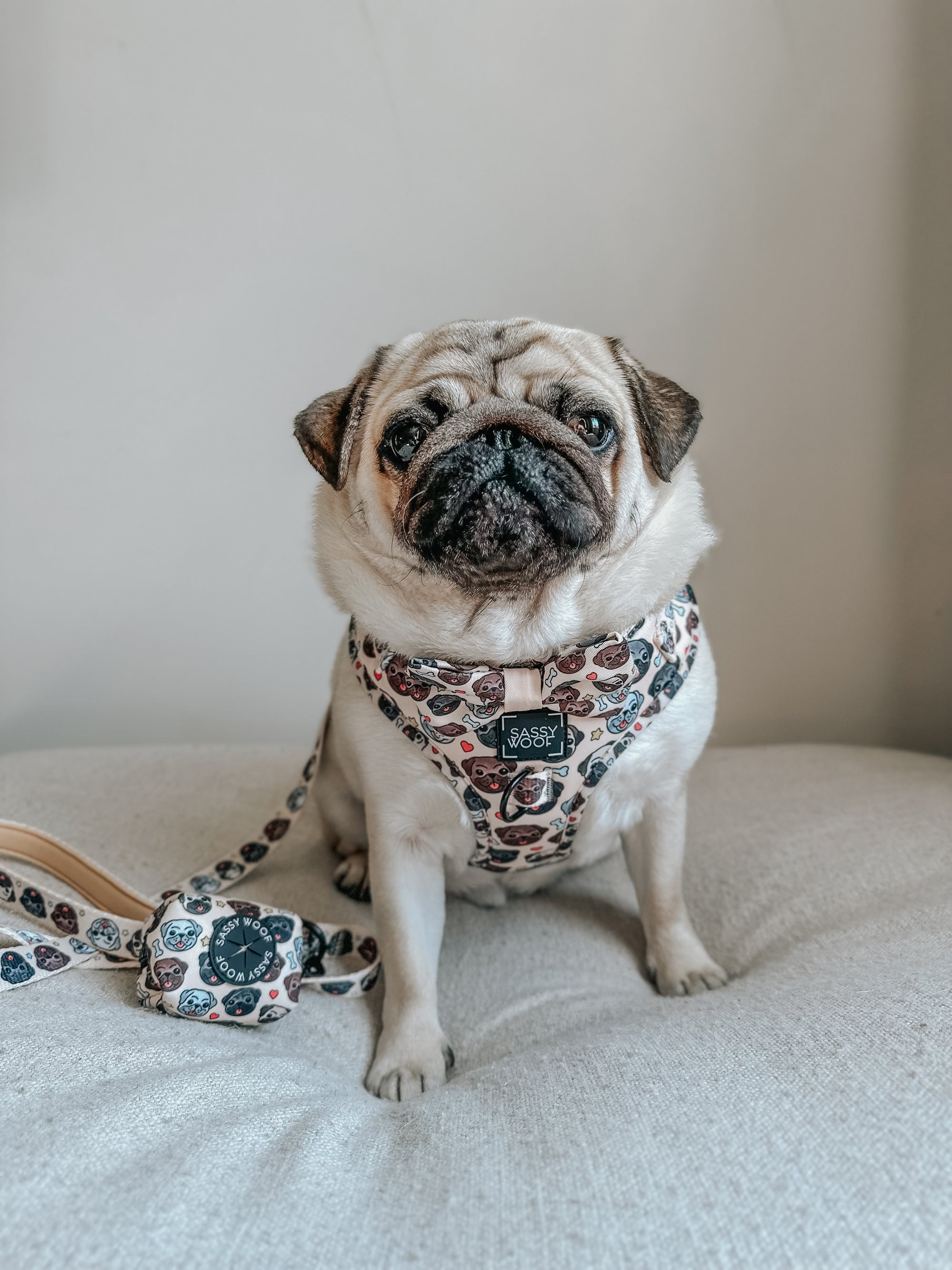 INFLUENCER_CONTENT | @ATOASTYPUG 