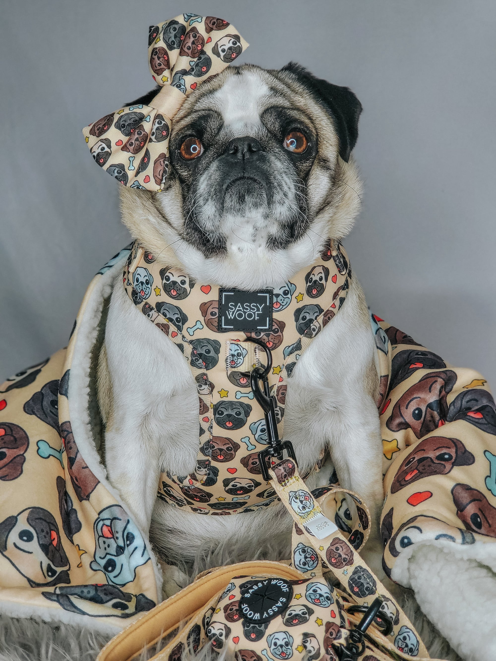 INFLUENCER_CONTENT | @LIFEWITHREMITHEPANDAPUG | SIZE M