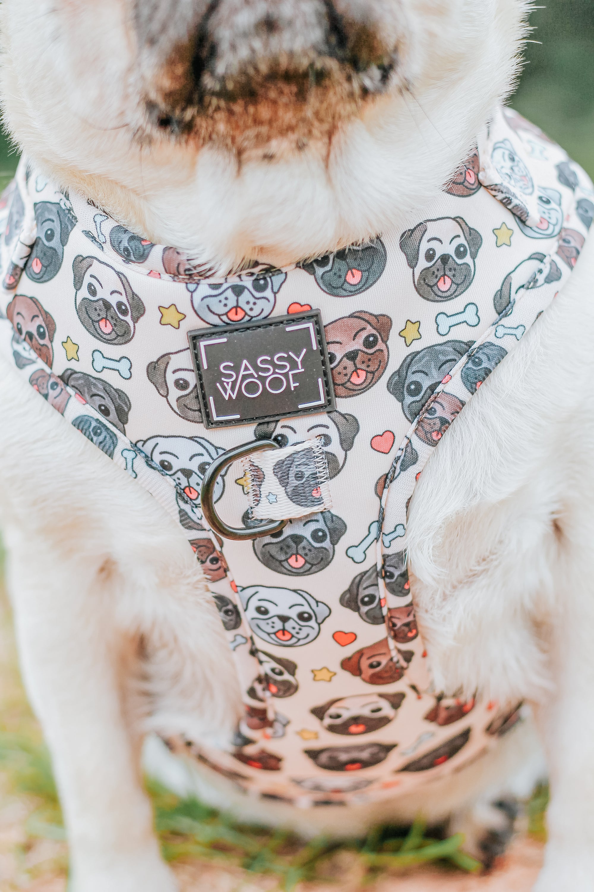 INFLUENCER_CONTENT | @LITTLEMISSYTHEPUG | SIZE M