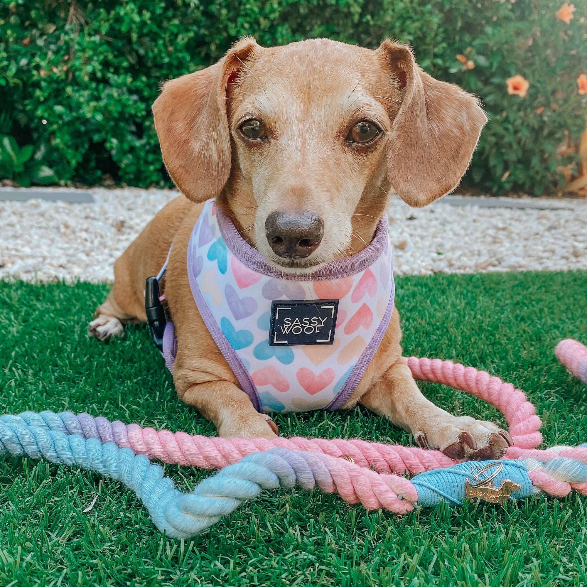 INFLUENCER_CONTENT | @SHELBYTHE.DOXIE