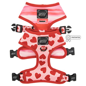 Dog Reversible Harness - Love at First Bark
