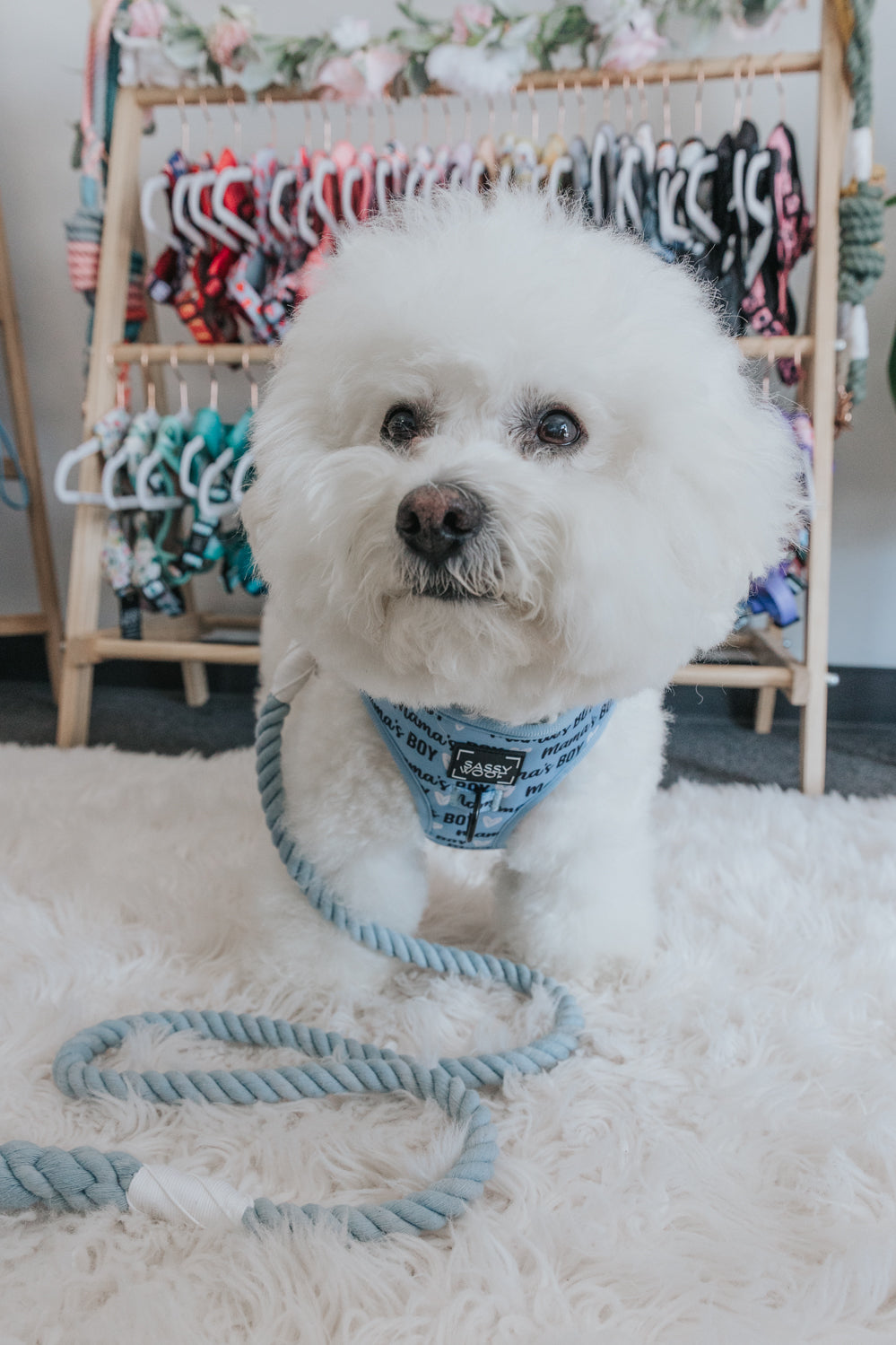 INFLUENCER_CONTENT | @KRISPYKREMETHEBICHON