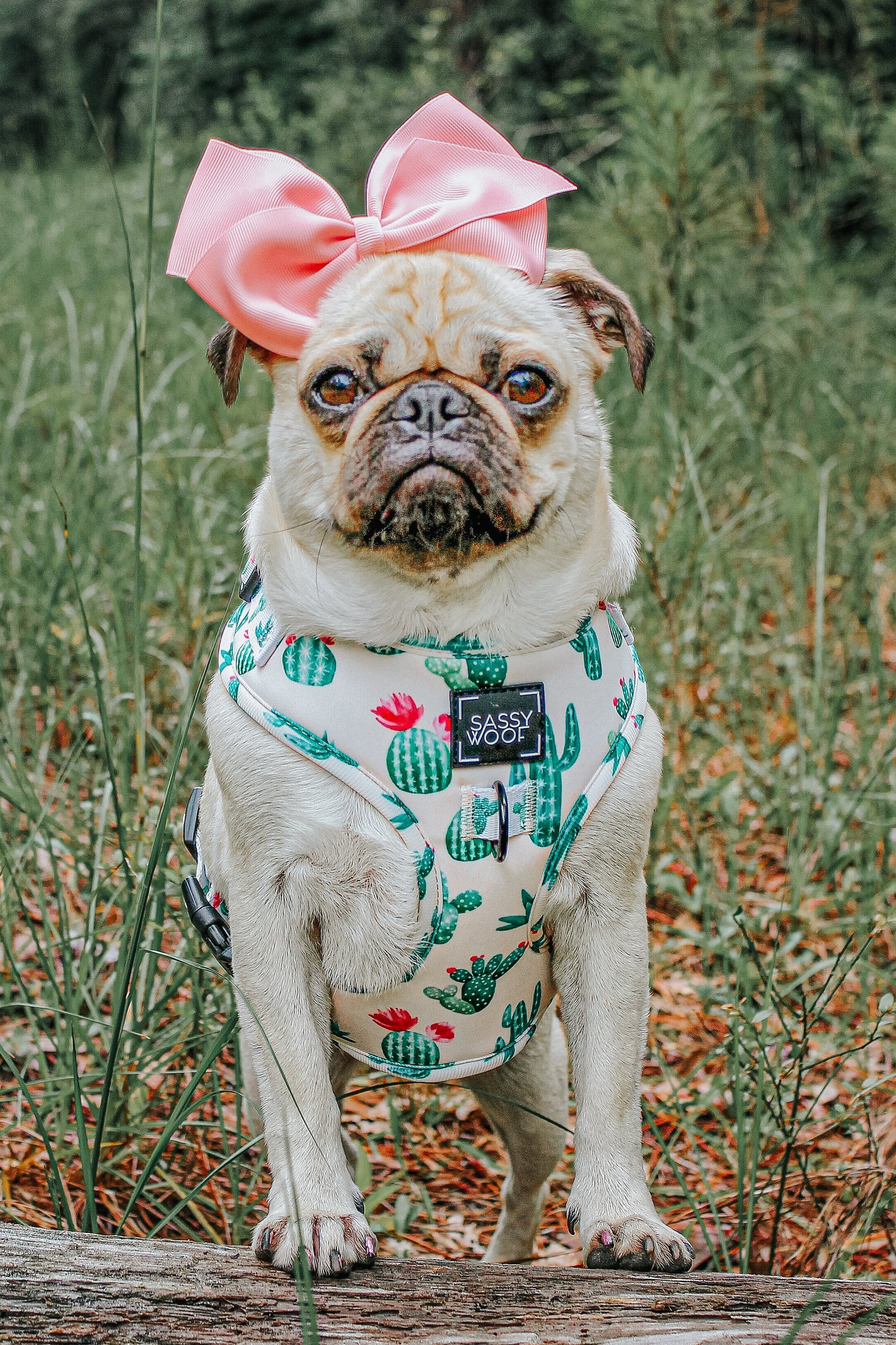 INFLUENCER_CONTENT | @LITTLEMISSYTHEPUG | SIZE S