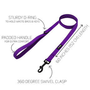 Dog Leash - Neon Purple