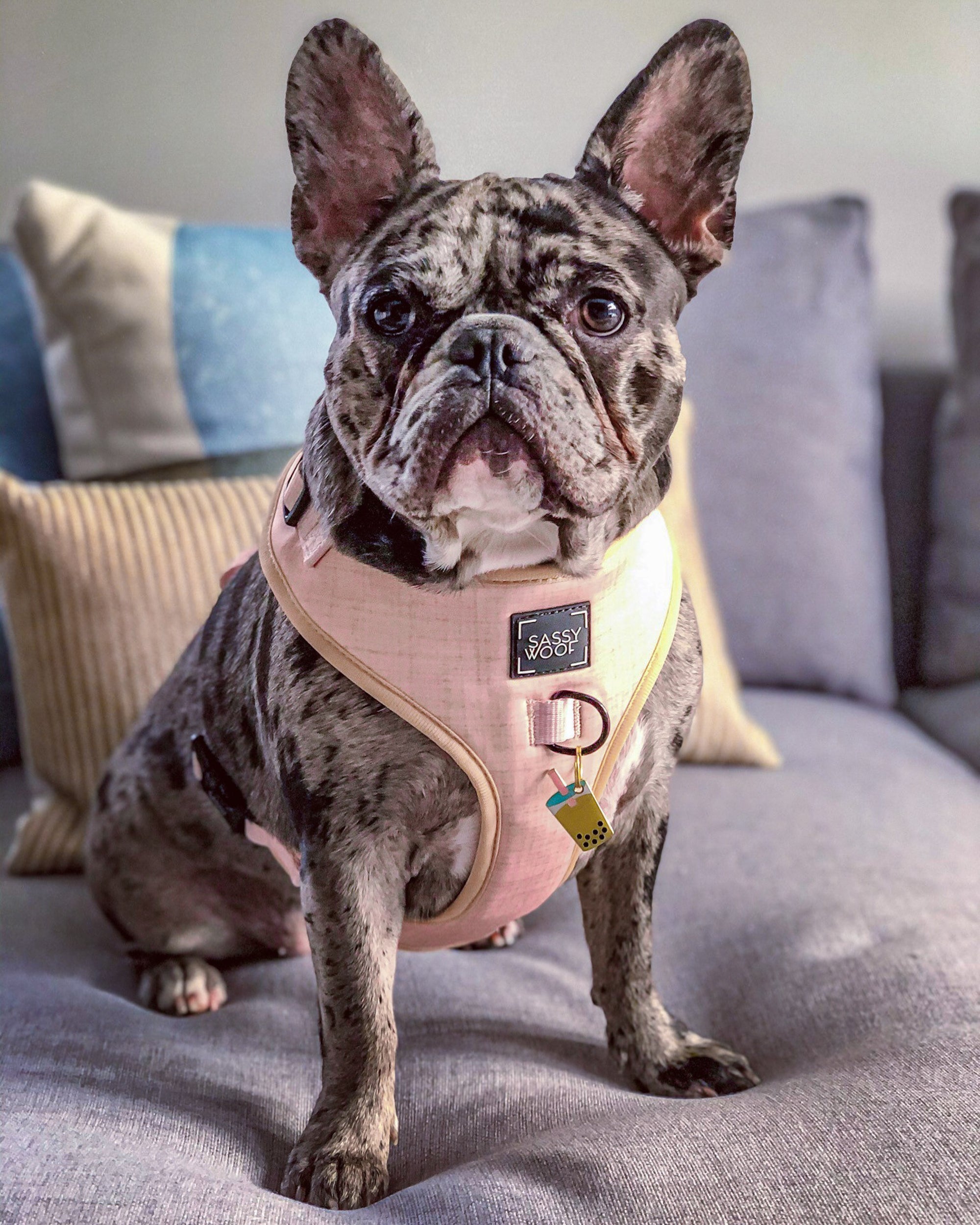 INFLUENCER_CONTENT | @MISSOREO_THEFRENCHIE | SIZE L