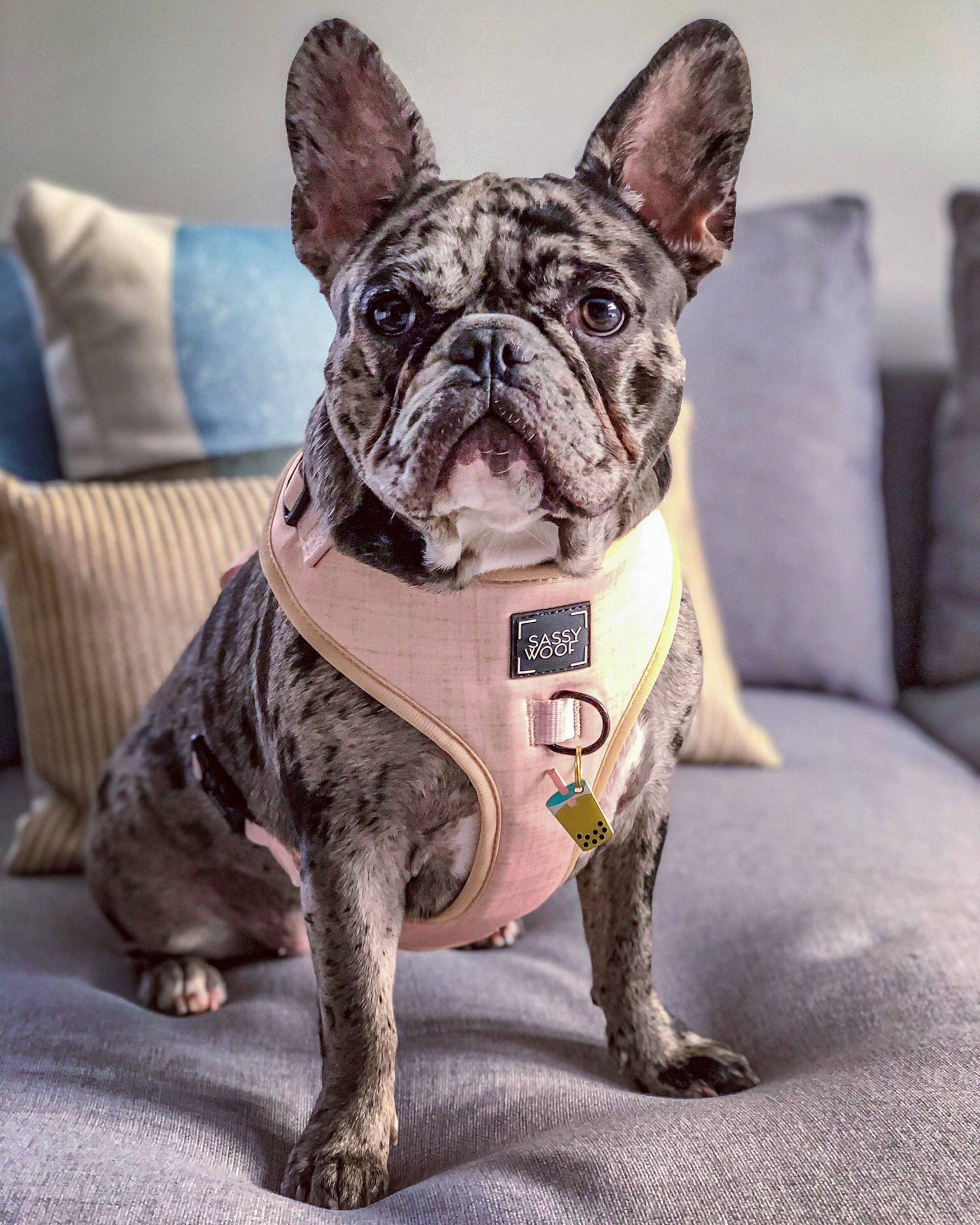  INFLUENCER_CONTENT | @MISSOREO_THEFRENCHIE  | SIZE L