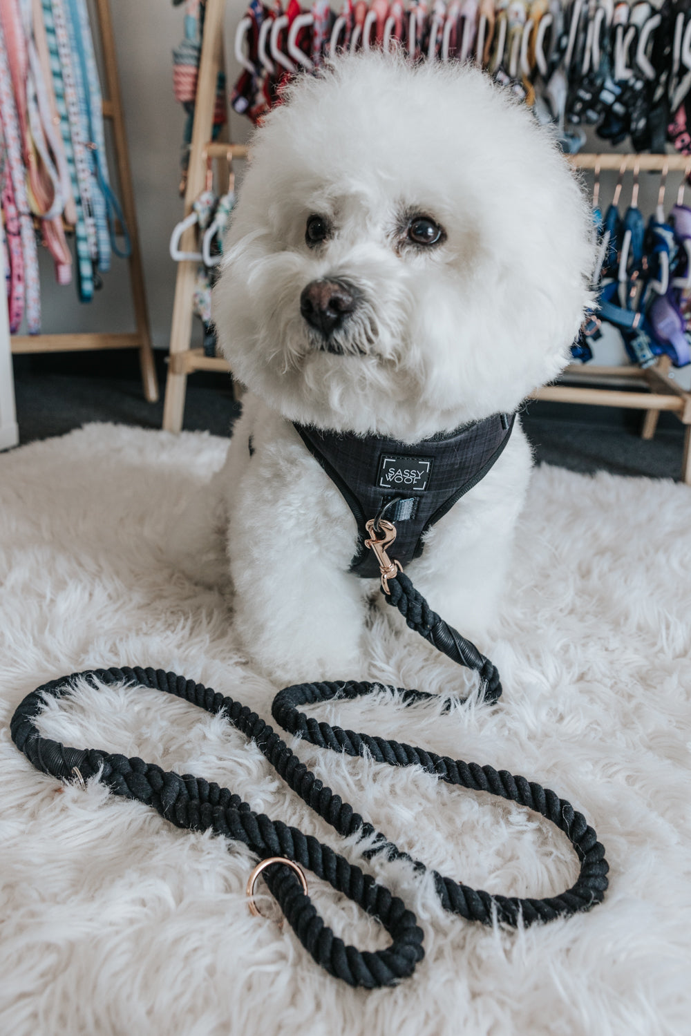 INFLUENCER_CONTENT | @KRISPYKREMETHEBICHON | SIZE M