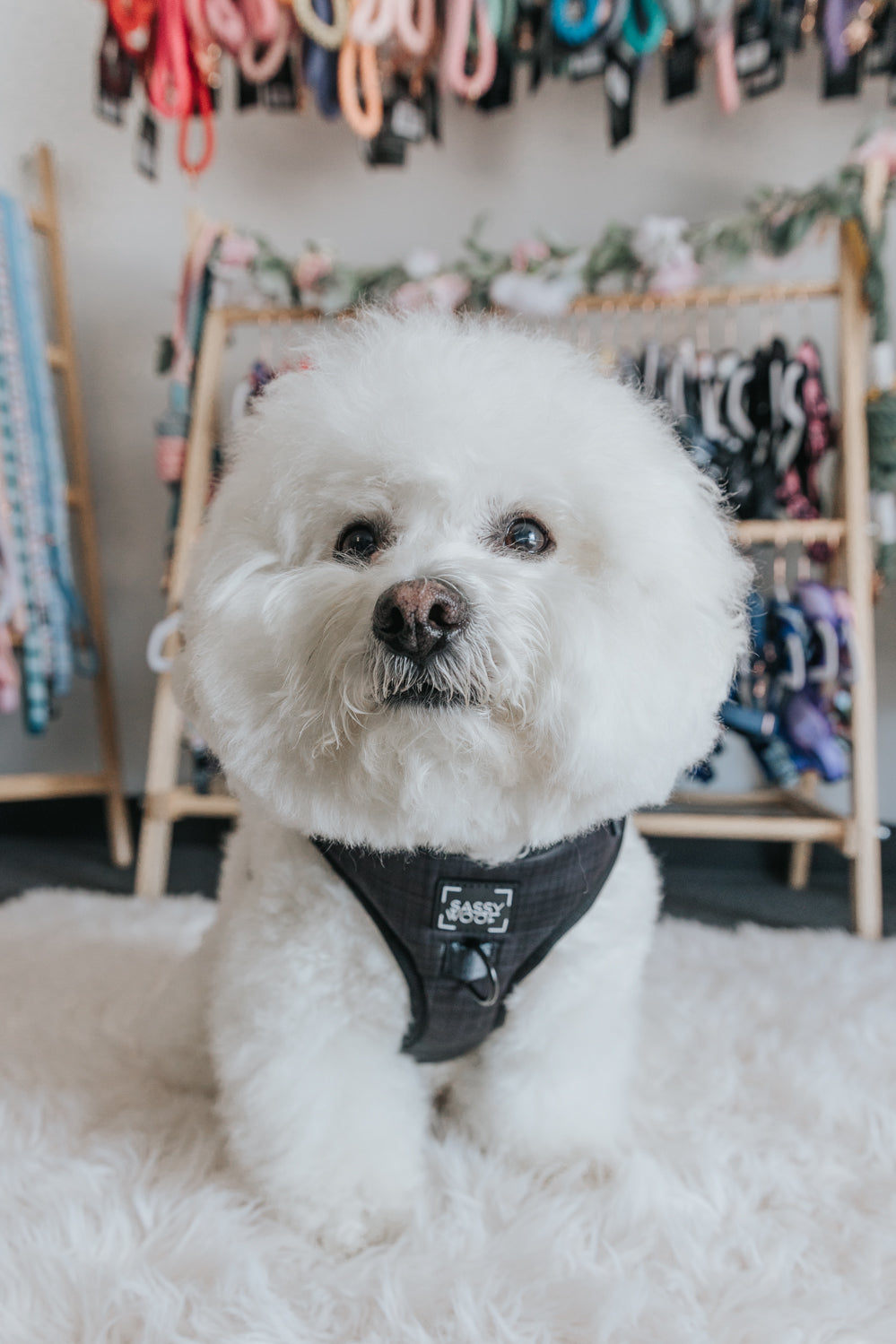 INFLUENCER_CONTENT | @KRISPYKREMETHEBICHON | SIZE M