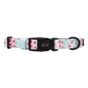 Dog Collar - Sakura