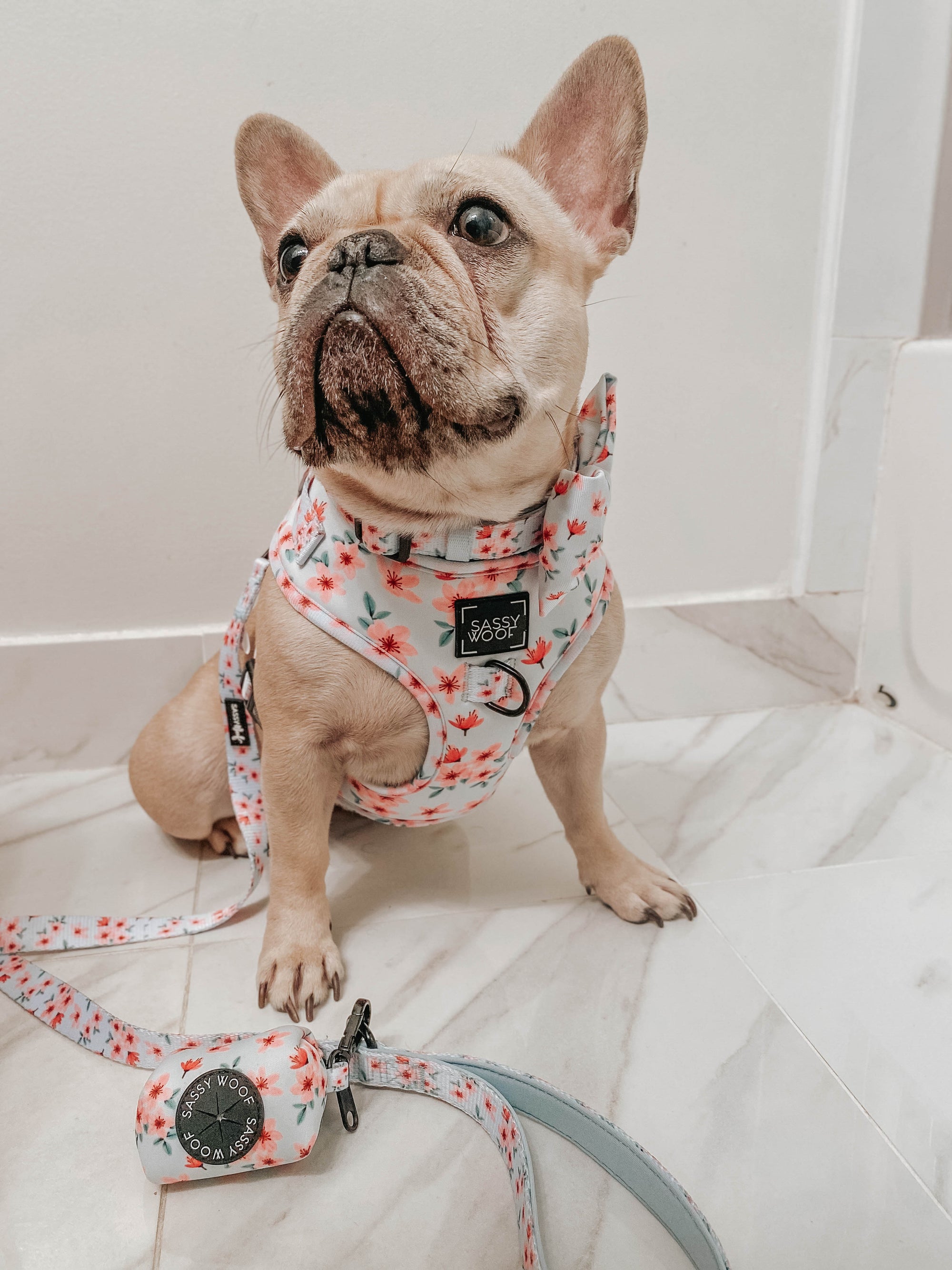 INFLUENCER_CONTENT | @LILLYMOONFRENCHIE |