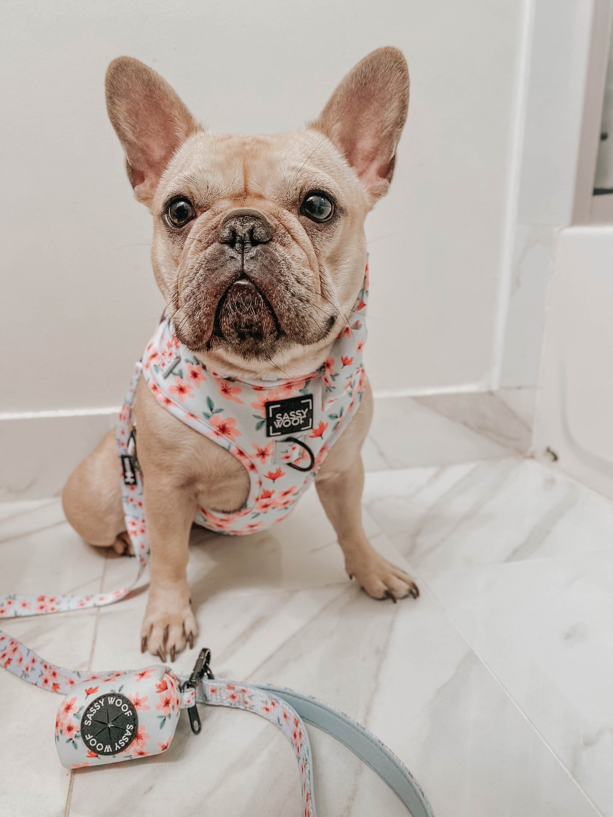 INFLUENCER_CONTENT | @LILLYMOONFRENCHIE | SIZE S