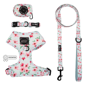 Dog Four Piece Bundle - Sakura