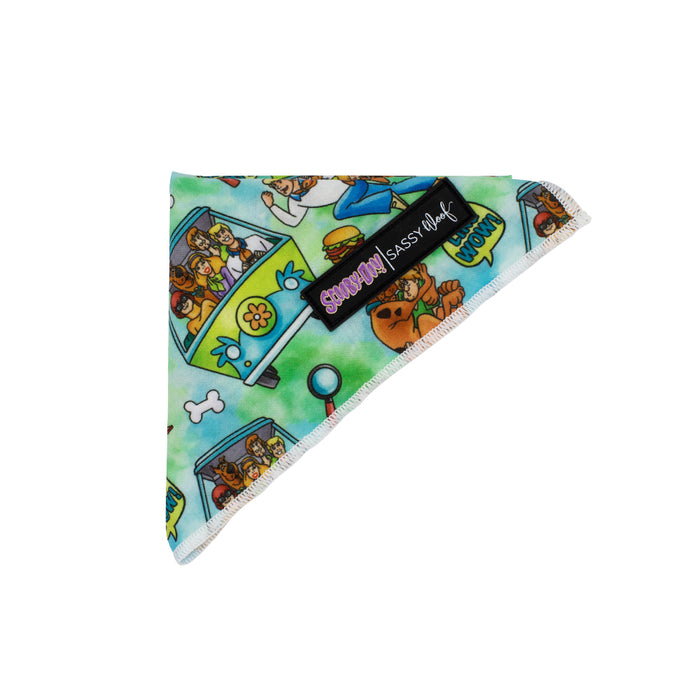 Dog Bandana ScoobyDoo™ Sassy Woof Product