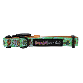 Dog Collar - Scooby-Doo™