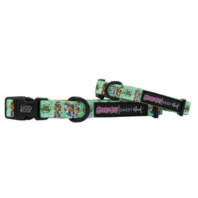 Dog Collar - Scooby-Doo™