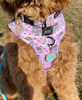 Dog Collar Tag - Sweet, Sassy, and Spoiled