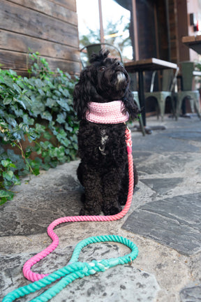 Dog Rope Leash - Unicorn