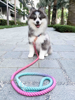 Dog Rope Leash - Unicorn