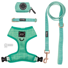 Dog Four Piece Bundle - Wag Your Teal