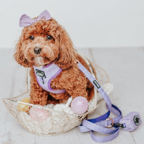 INFLUENCER_CONTENT | @THE.STORY.OF.ROO