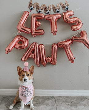 Dog Bandana - Barkday Pink