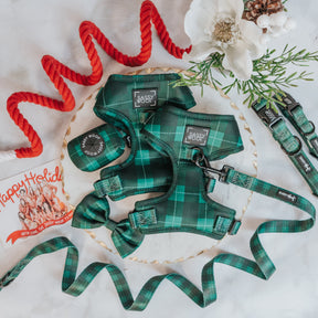 Dog Bundle - Barks of Holly