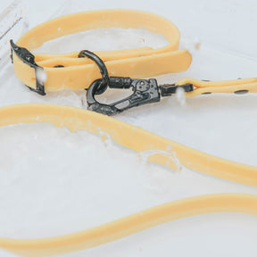 Dog Waterproof Leash - Yellow