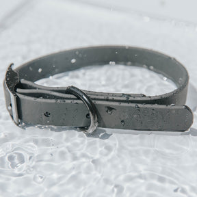 Dog Waterproof Collar - Black