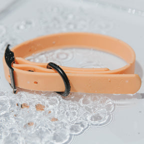 Dog Waterproof Collar - Orange