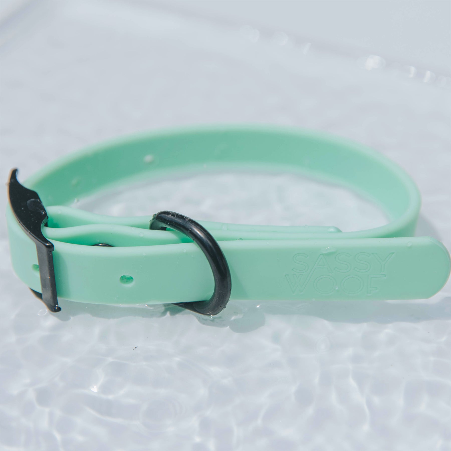 Dog Waterproof Collar - Green