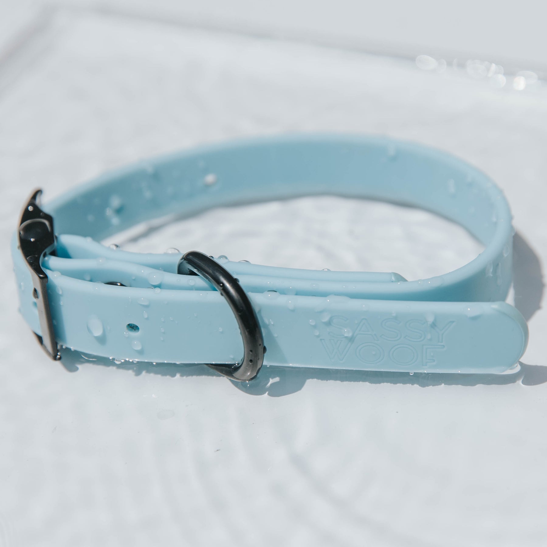 Dog Waterproof Collar - Blue