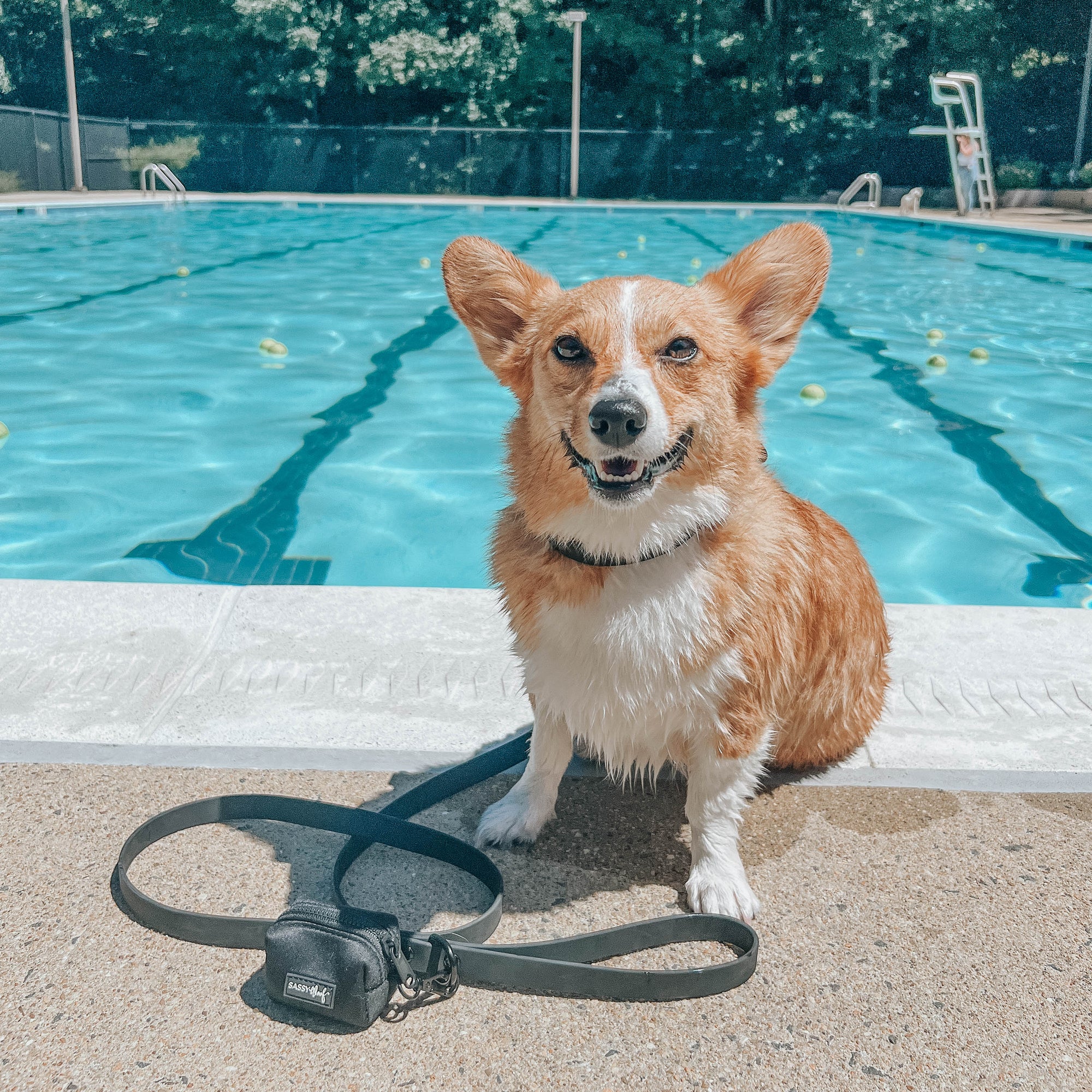 INFLUENCER_CONTENT | @ZIIGGY_THECORG