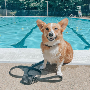 INFLUENCER_CONTENT | @ZIIGGY_THECORG