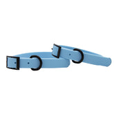 Dog Waterproof Collar - Blue