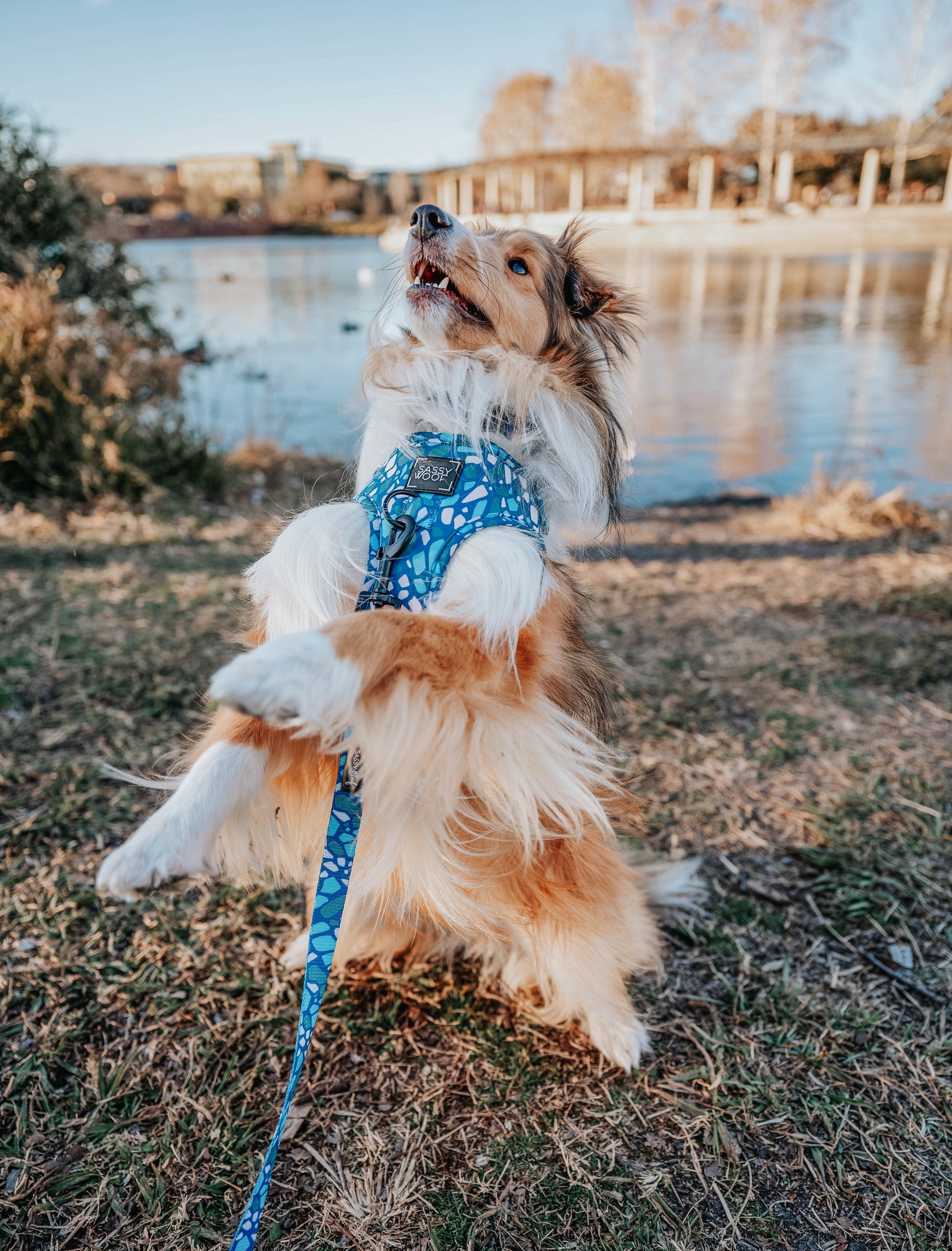 INFLUENCER_CONTENT | @KIRBYTHEFURBABY