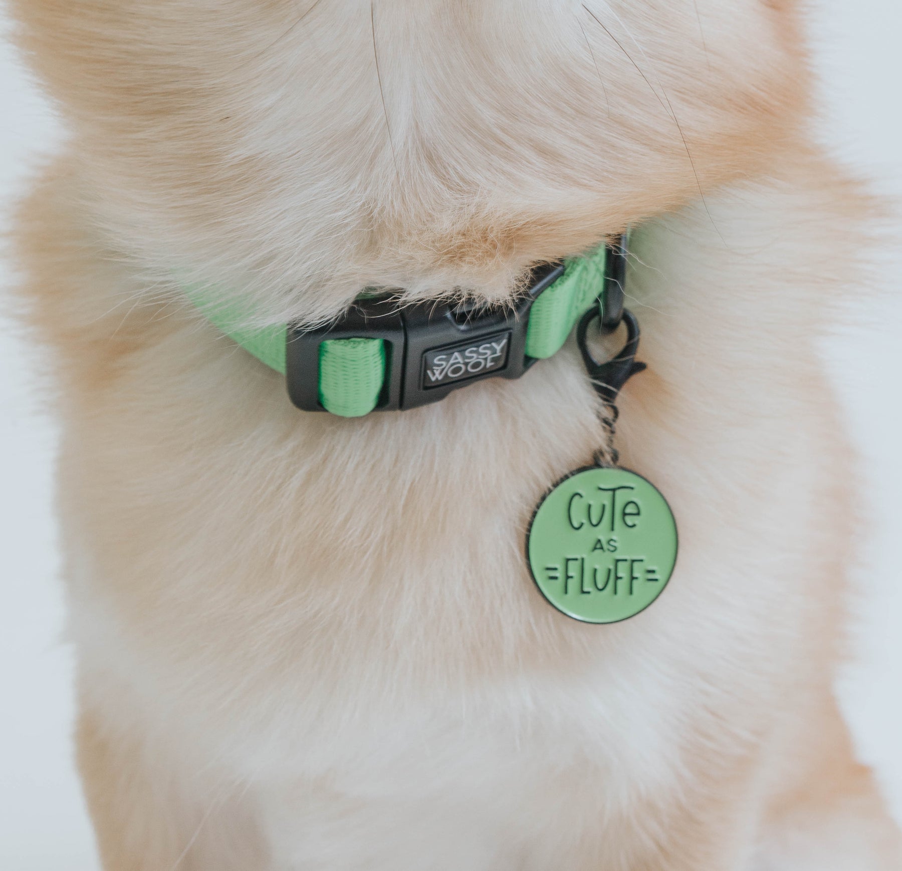 Dog Collar Tag - Cute as Fluff