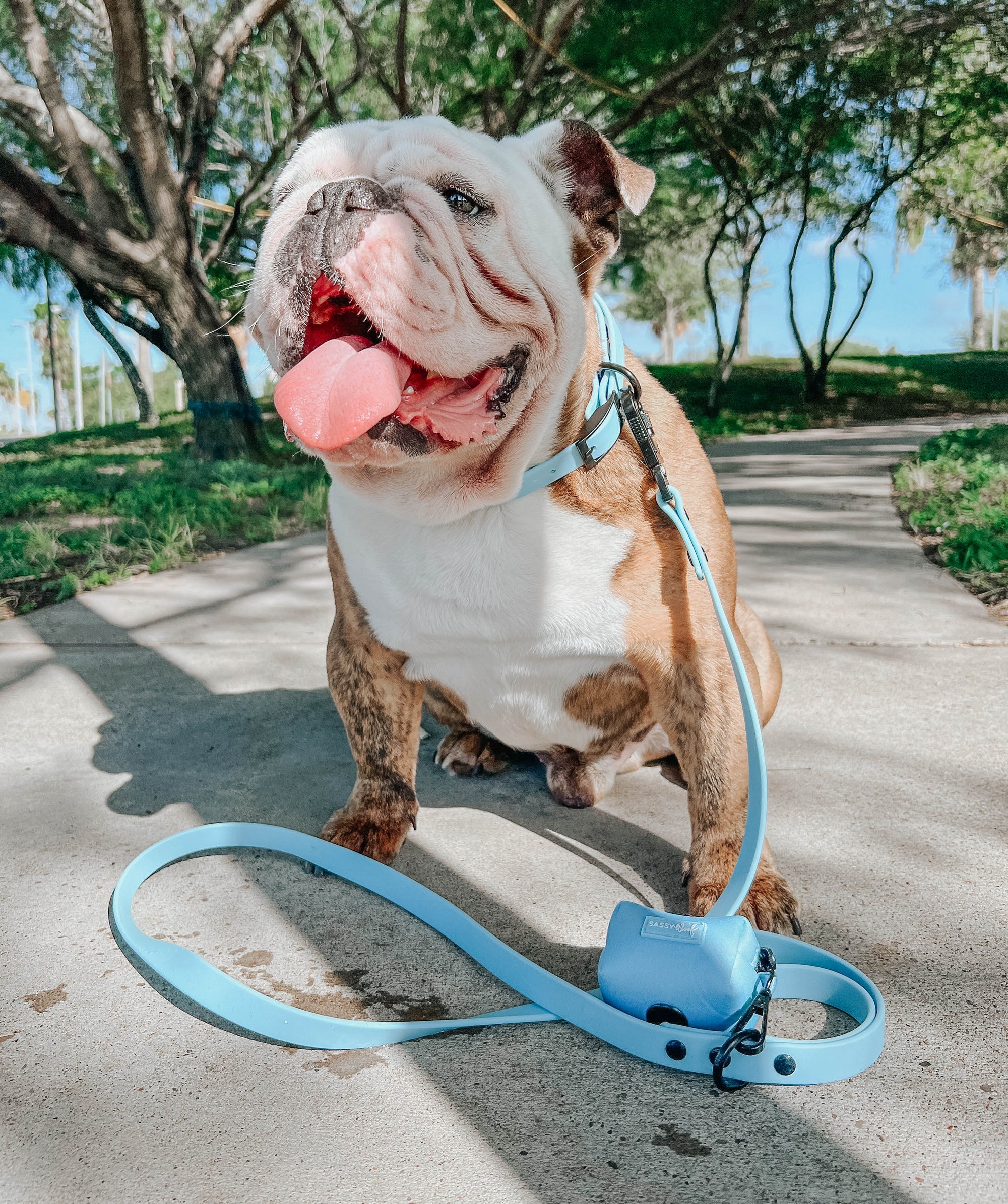 INFLUENCER_CONTENT | @ITSZEUSTHEBULLDOG