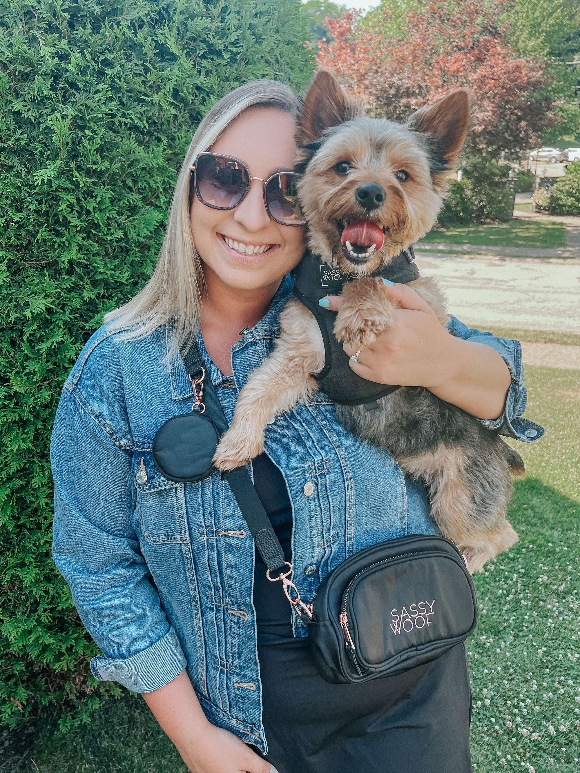 INFLUENCER_CONTENT | @YORKIEBROTHERS_WINSTON_CHARLES