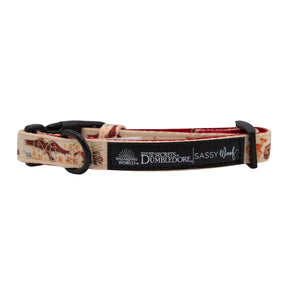 Dog Collar - Fantastic Beasts™